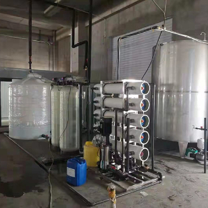 河北固安食品廠每小時(shí)5噸反滲透設(shè)備